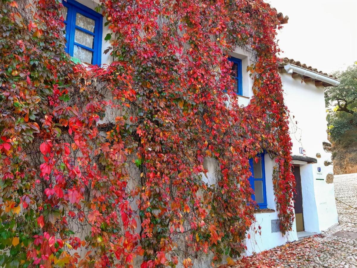 Vila Casita Collado 1 Alájar Exteriér fotografie
